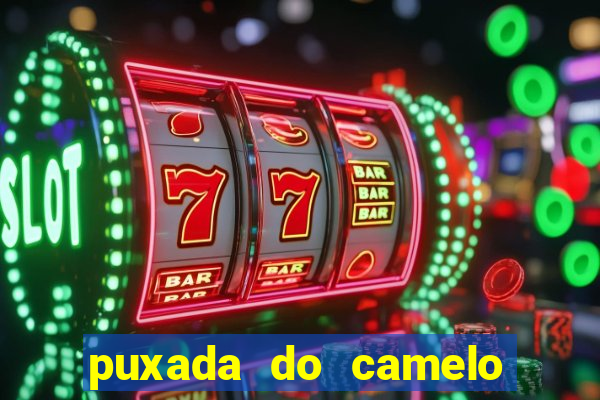 puxada do camelo no jogo do bicho